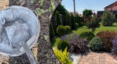 Городники радять розсипати попіл по грядках восени: результат здивує