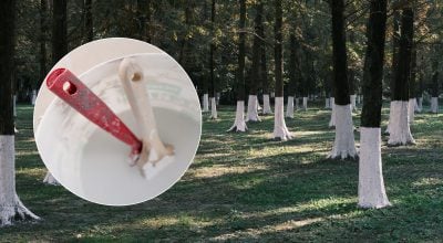 Як сказати українською "ізвєсть": більшість досі говорить неправильно
