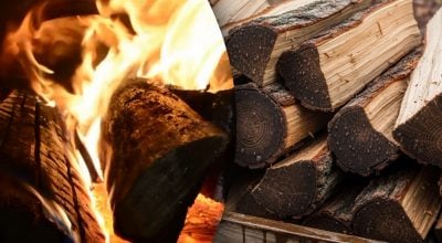 Які дрова ніколи не можна кидати у вогонь: лісоруб назвав їх і пояснив, чому