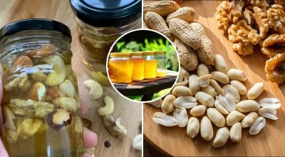 Мёд с орехами на зиму: простой рецепт домашней заготовки