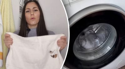 Якщо рушник довго не висихає, на його поверхні розмножуються бактерії