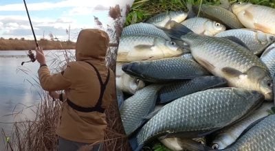 Чим ловити карася восени у холодній воді Чим ловити карася восени у холодній воді