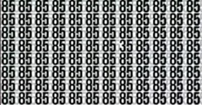 Тест на IQ: нужно найти число 35 среди 85 за 9 секунд