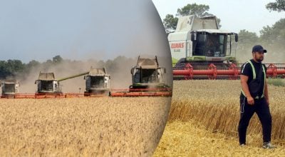 Врожаю вистачить із запасом, але є нюанс: чому аграрії опинилися у великому мінусі
