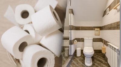 Большинство делает неправильно: куда нужно выбрасывать туалетную бумагу