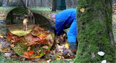 Згрібати листя більше не треба: названо кращу і безпечнішу альтрнативу