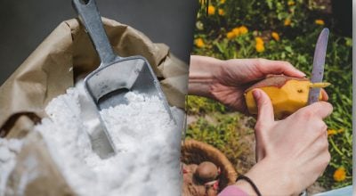 Навіщо поєднувати картопляну шкірку із содою Навіщо поєднувати картопляну шкірку із содою