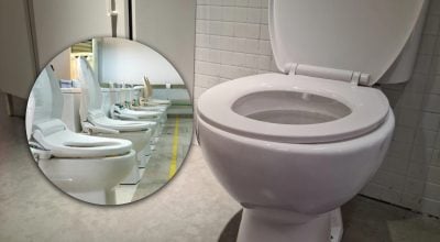 Звичайний білий унітаз уже не в моді: що прийшло йому на зміну Звичайний білий унітаз уже не в моді: що прийшло йому на зміну