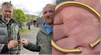 Випадкова знахідка на полі виявилася стародавнім скарбом
