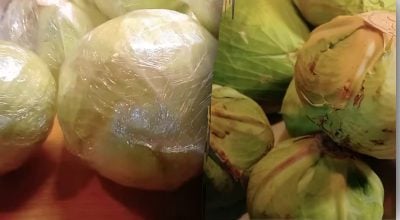 Яку капусту обрати для тривалого зберігання