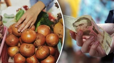 Ціни на цибулю в Україні різко пішли донизу: скільки коштує кілограм