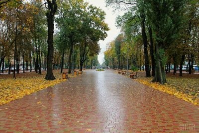 Холод, затяжні дощі і шквали вітру: коли в Україні різко зіпсується погода