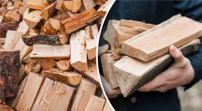 Горят дольше всего и держат жар: какие дрова лучше согреют дом зимой Горят дольше всего и держат жар: какие дрова лучше согреют дом зимой