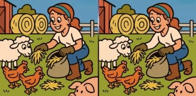 Тест на IQ: нужно найти 3 отличия на картинке фермерши с животными за 49 с