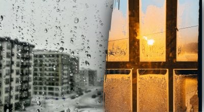 Секрет сухих вікон восени — що потрібно поставити на підвіконня вже зараз