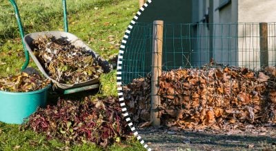 Осінній компост дозріє в рази швидше: що потрібно додати до купи