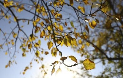 В Україну вривається справжня жовтнева погода: як зміниться температура