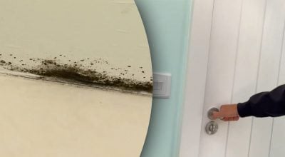Открытая дверь не спасёт от плесени: что на самом деле нужно сделать после душа Открытая дверь не спасёт от плесени: что на самом деле нужно сделать после душа