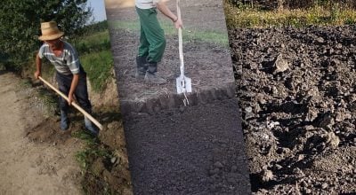 Перекопувати город восени чи ні: агроном поставив несподівану крапку у питанні