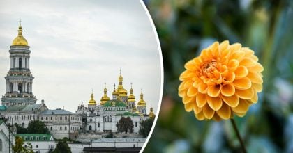 Чому 14 вересня не можна гуляти в лісі: яке церковне свято