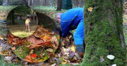 Згрібати листя більше не треба: названо кращу і безпечнішу альтрнативу