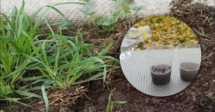 Як за 5 хвилин визначити кислотність ґрунту: простий трюк із содою та оцтом