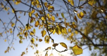 В Україну вривається справжня жовтнева погода: як зміниться температура