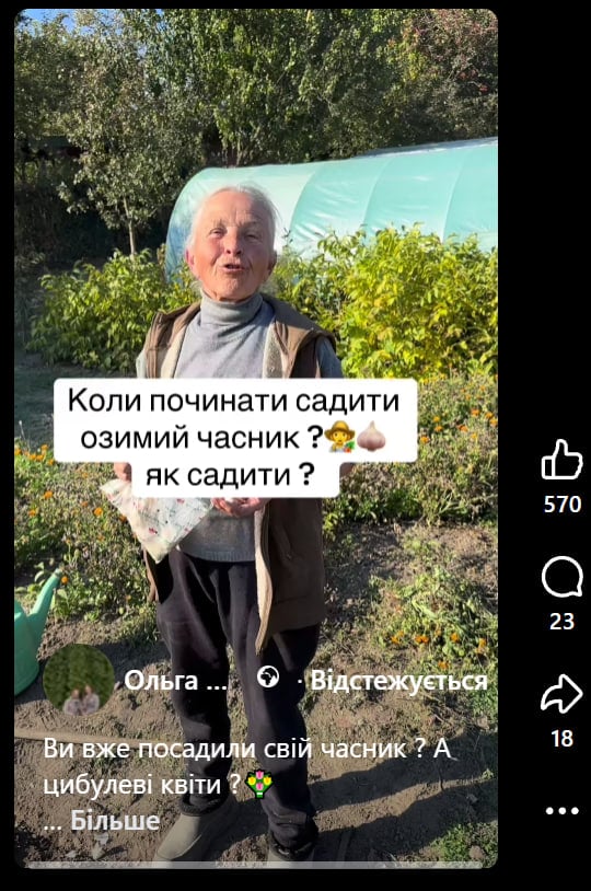 Коли садити озимий часник восени: садівниця назвала ідеальний час і глибину