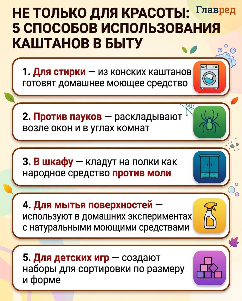 Каштаны в быту Каштаны в быту