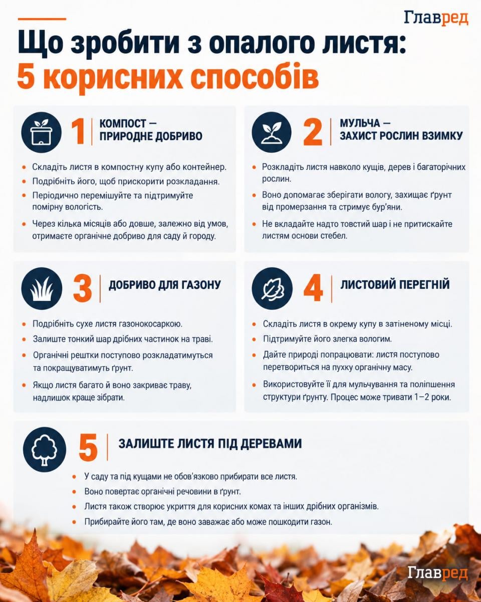 Що робити з опалим листям Що робити з опалим листям