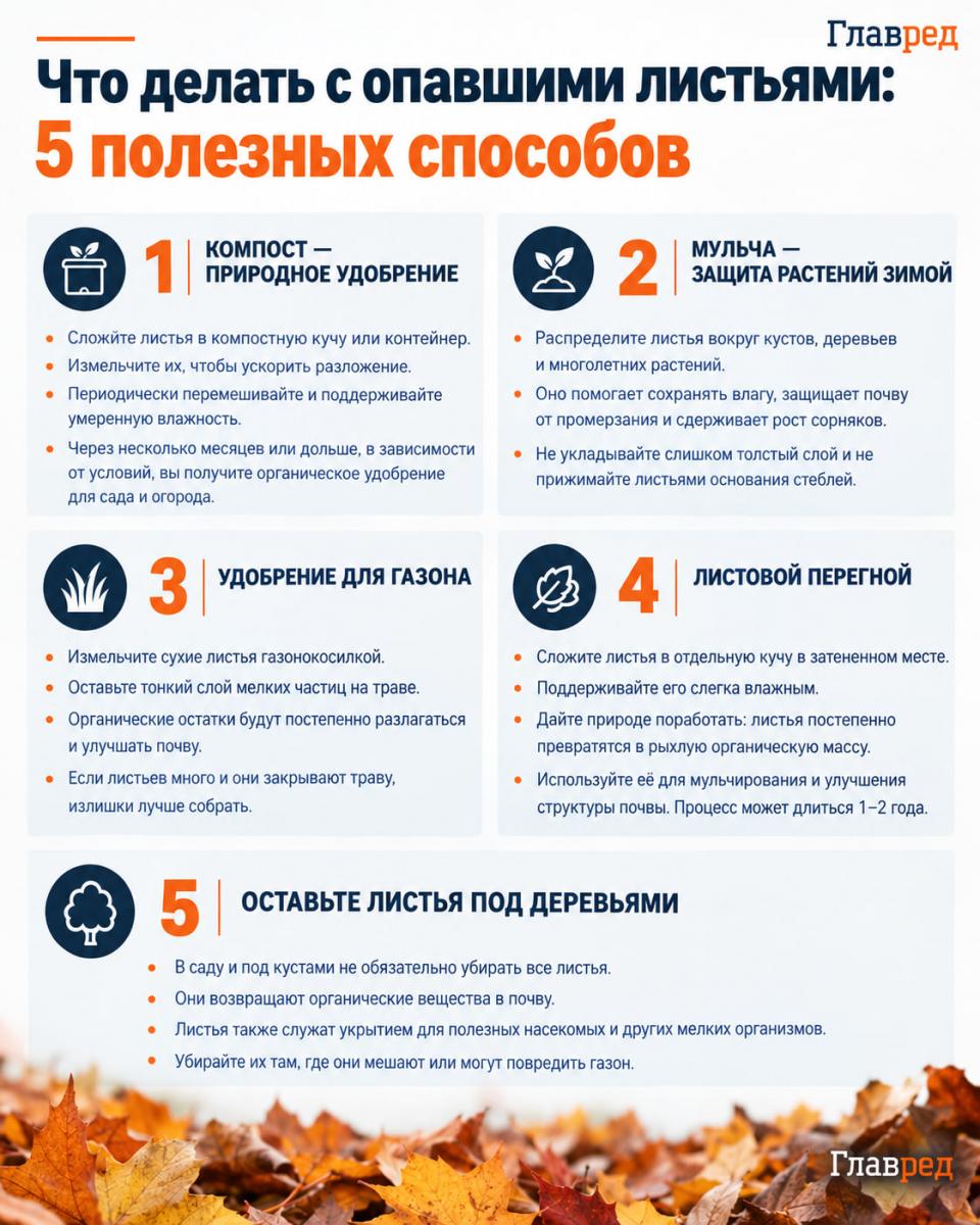 Что делать с опавшими листьями Что делать с опавшими листьями