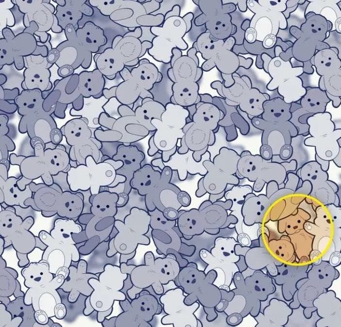 Тест на IQ: потрібно знайти собаку серед плюшевих ведмедиків за 12 секунд