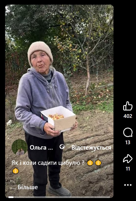 Лук переживет морозы и даст раннюю зелень: как и когда сажать осенью