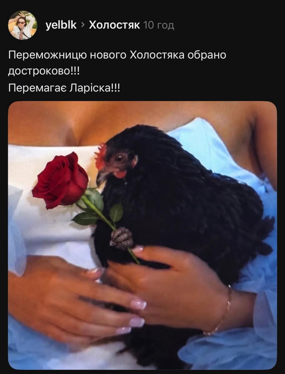 Курка Лариса на Холостяку