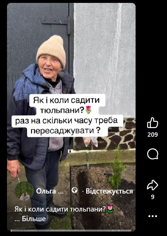 Тюльпани переживуть зиму й пишно зацвітуть: коли та як правильно садити цибулини