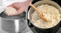 Действительно ли рис нужно промывать перед варкой: ответ шеф-поваров удивит