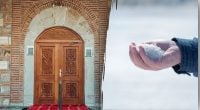 Зачем умные хозяева насыпают морскую соль на коврик у двери