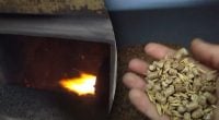 Горить довго і коштує в рази дешевше: названо альтернативу дровам і пелетам