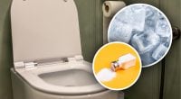 Опытные хозяйки бросают кубики льда с солью в унитаз — для чего