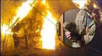 РФ уничтожила центр спасения птиц под Киевом: погибли пернатые и кот