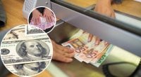 Гривню ждет новое давление: подскочит ли курс доллара и евро до 18 октября