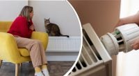 Домогосподарствам радять ввімкнути опалення на 10 хвилин - для чого