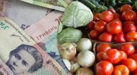 В Україні обвалилися ціни на базовий овоч: скільки тепер коштує кілограм