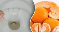 Зачем класть апельсиновые корки в унитаз: необычный лайфхак для туалета