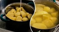 Нужно ли накрывать картофель крышкой во время варки: ответ экспертов