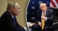 У Путіна вперше відреагували на енергетичне перемир'я - чи будуть його дотримуватись
