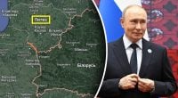 Путіна можуть підштовхувати до ескалації проти НАТО: Максакова назвала причини