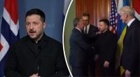 Переговоры Зеленского и Уиткоффа завершились: какой план мира передадут Путину