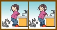 Тест на IQ: нужно найти 3 отличия на картинке женщины с котом 55 с