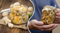 Маринованные грибы получатся хрустящими и ароматными: что добавить в банку